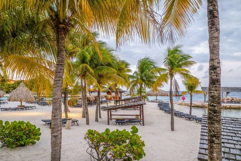 lions dive beach resort-08.jpg  