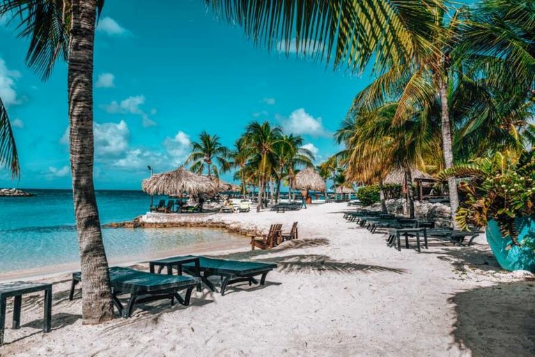 lions dive beach resort-02.jpg  