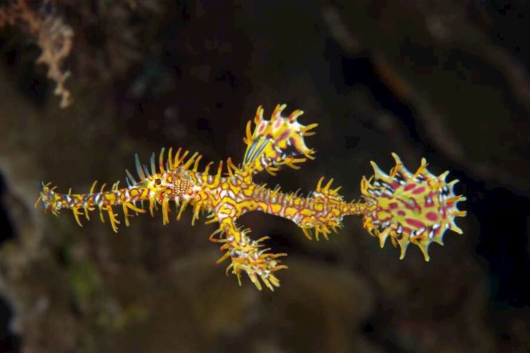 alam anda ocean front resort indonesien-08.jpg  