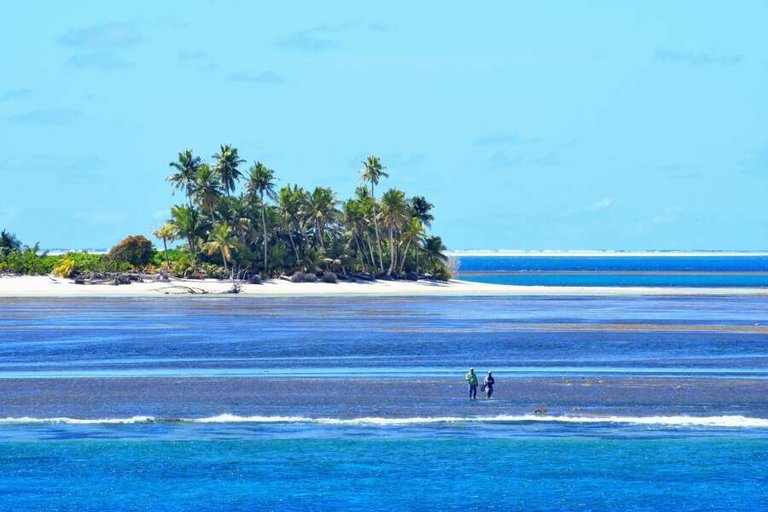 silhouette cruises - my basilisk-08.jpg  