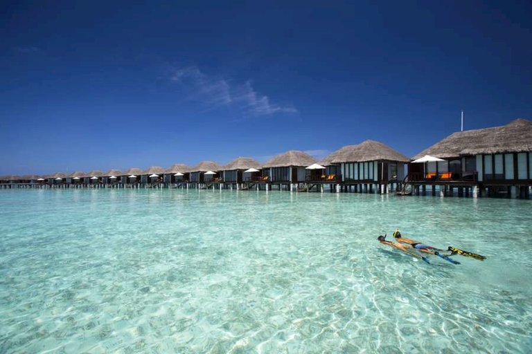 niva velassaru maldives-02.jpg  