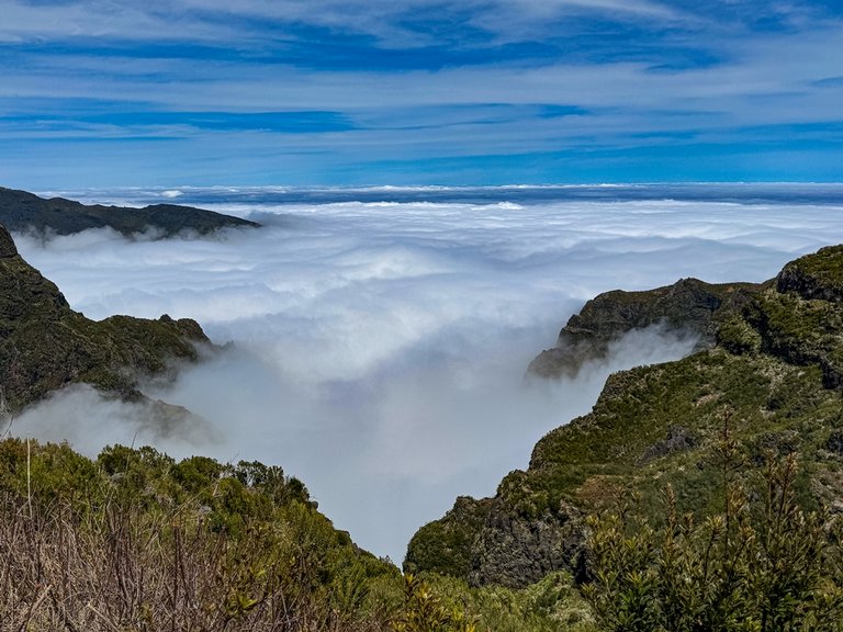 madeira 2026 (21 von 97).jpg  