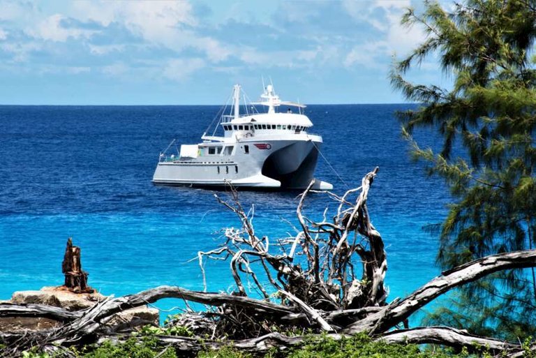 silhouette cruises - my basilisk-01.jpg  