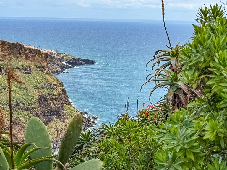 madeira 2026 (17 von 97).jpg  