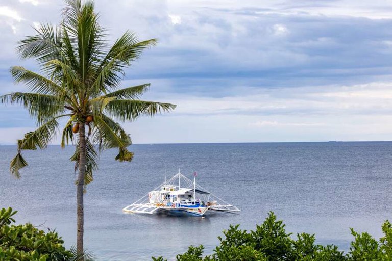 pura vida cabilao-01.jpg  