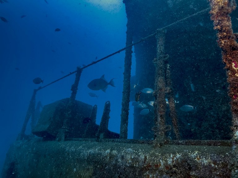 madeira 2026 (6 von 97).jpg  