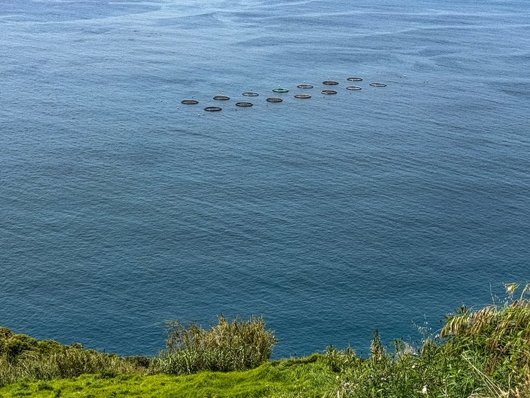 madeira 2026 (45 von 97).jpg  