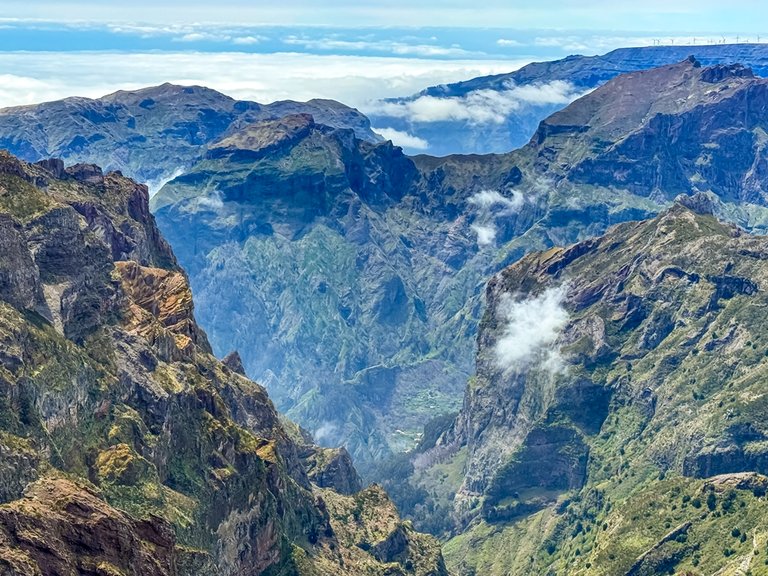 madeira 2026 (26 von 97).jpg  