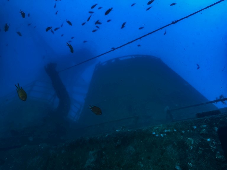 madeira 2026 (5 von 97).jpg  