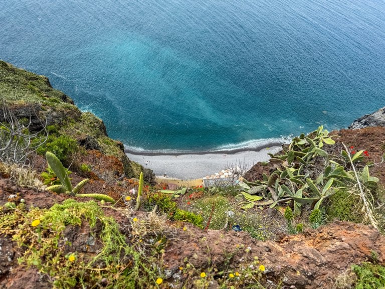 madeira 2026 (16 von 97).jpg  