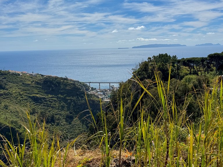 madeira 2026 (88 von 97).jpg  