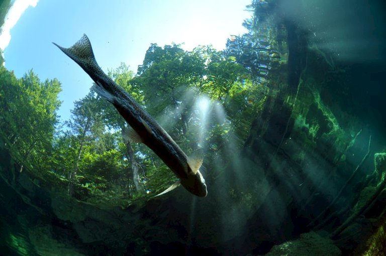 st_h_portfolio_uw (13).jpg  