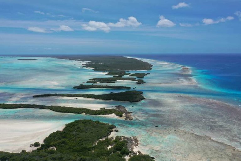 silhouette cruises - my basilisk-09-1.jpg  