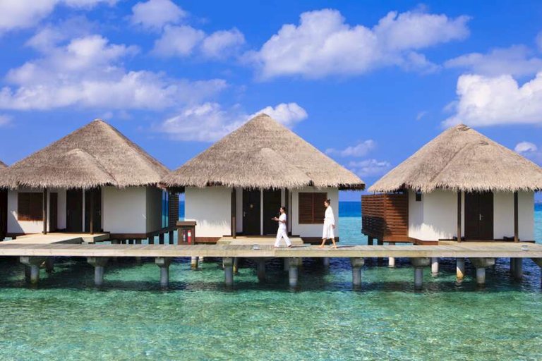 niva velassaru maldives-08.jpg  