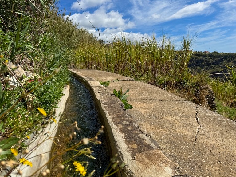madeira 2026 (87 von 97).jpg  