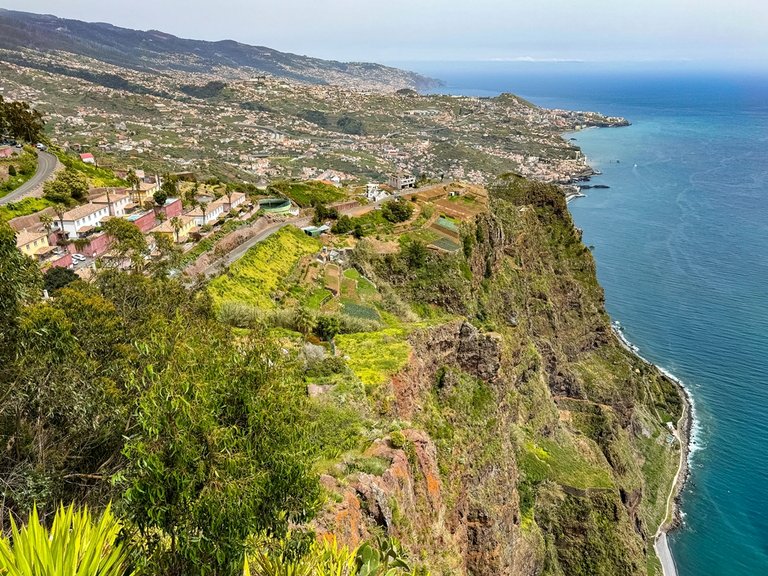 madeira 2026 (54 von 97).jpg  
