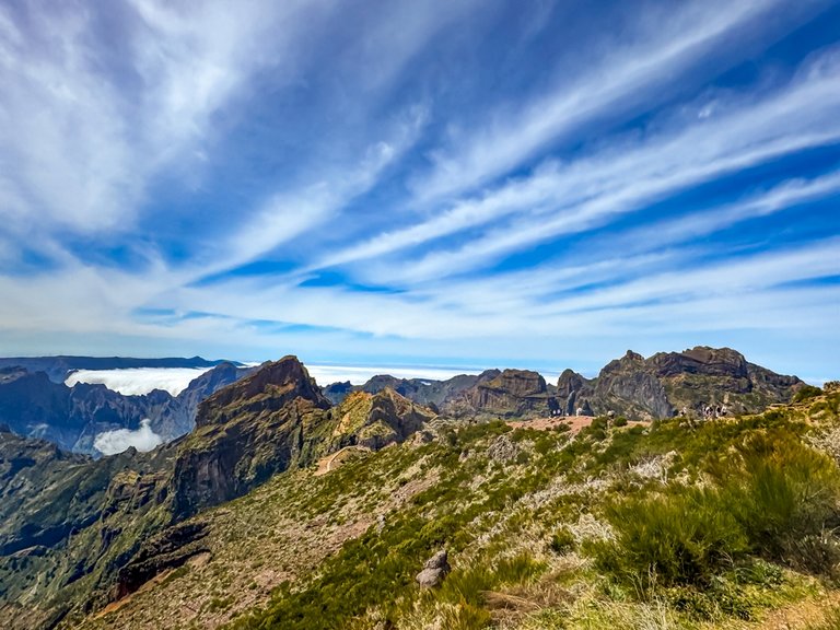 madeira 2026 (28 von 97).jpg  