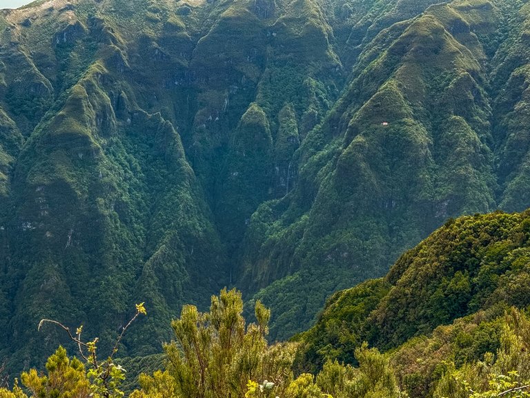 madeira 2026 (56 von 97).jpg  