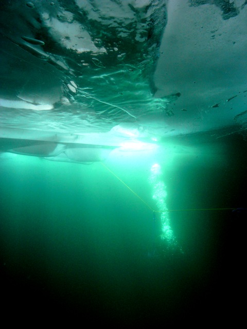 ice-diving5.jpg  