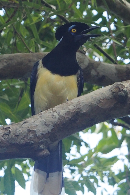 03_st_h_iguazu__12_.jpg  