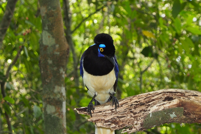03_st_h_iguazu__18_.jpg  