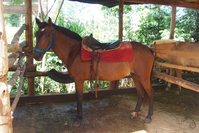 03_st_h_iguazu__21_.jpg  