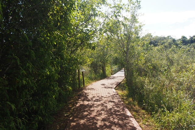 03_st_h_iguazu__6_.jpg  