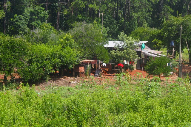 01_st_h_weg_iguazu__12_.jpg  
