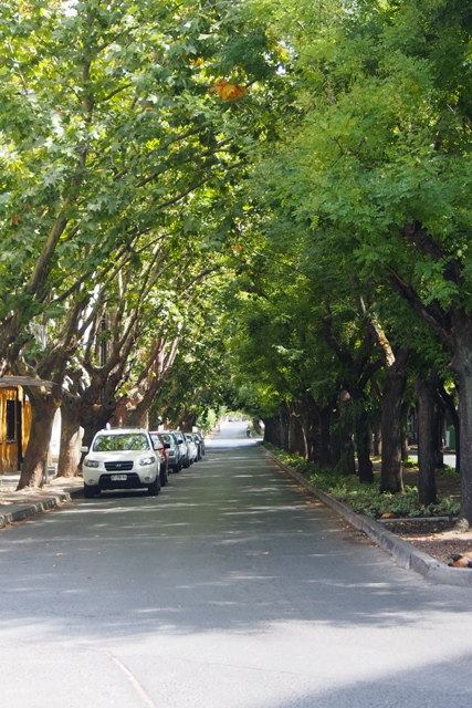 02_st_h_talca_vilches__4_.jpg  