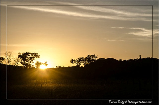 f_f_pantanal_land__24_.jpg  