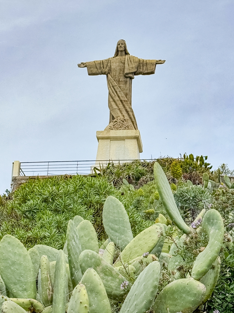 madeira 2026 (20 von 97).jpg  