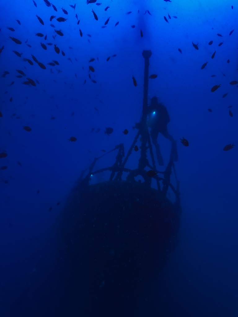 madeira 2026 (9 von 97).jpg  